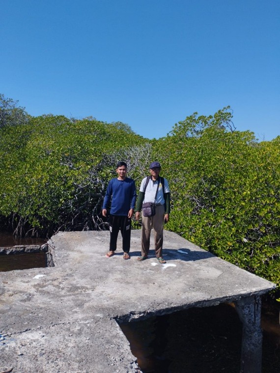 Riset Dosen Biologi FMIPA UNW Mataram di Mangrove Gili Sulat: Analisis Vegetasi dan Fauna Dukung Konservasi Laut Lombok Timur